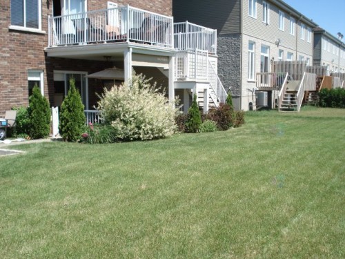 Cour - 7840 Rue Lemelin, Brossard, QC - Outdoor