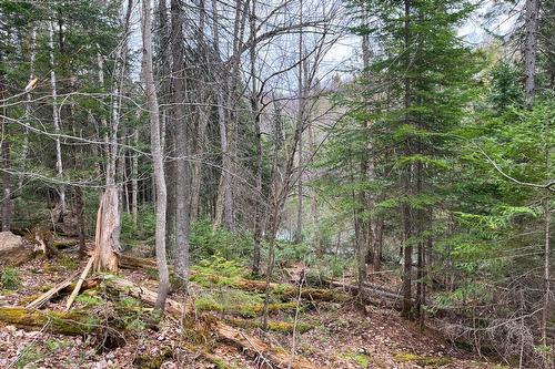 Bord de l'eau - Ch. Rustique, Morin-Heights, QC 