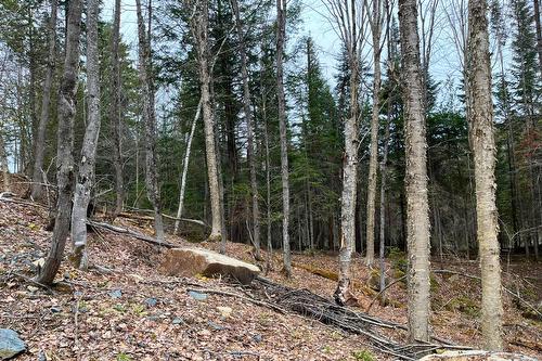 Terre/Terrain - Ch. Rustique, Morin-Heights, QC 
