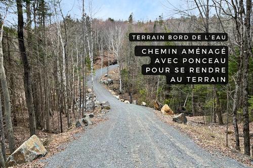 Rue - Ch. Rustique, Morin-Heights, QC 