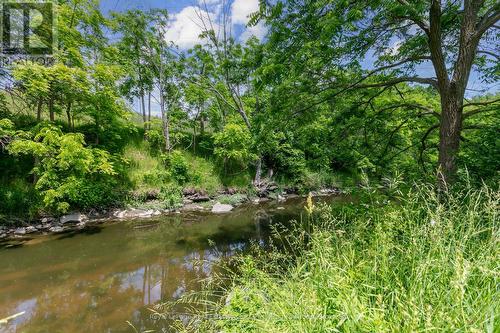 19 Lorraine Gardens, Toronto, ON - Outdoor