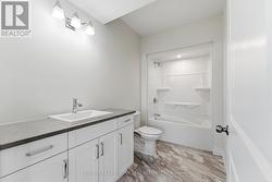 Finished Basement Bath - 