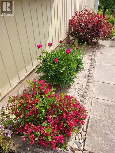 20 Royal Orchard Drive, Kitchener, ON - Outdoor