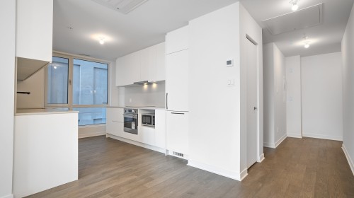 Cuisine - 2306-1160 Rue Mackay, Montréal (Ville-Marie), QC - Indoor Photo Showing Kitchen