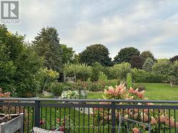 Summer shot of gardens in full bloom - 