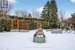 Raised Garden Beds - 