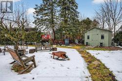 Newer 8 x 12 Pine Shed and Firepit Area - 