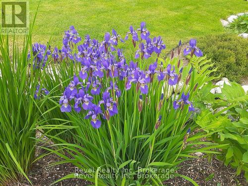 15 Stoney Road, Tiny, ON - Outdoor