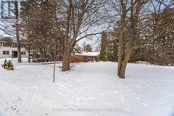 100 WESTWOOD LANE Richmond Hill, ON L4C 6Y3