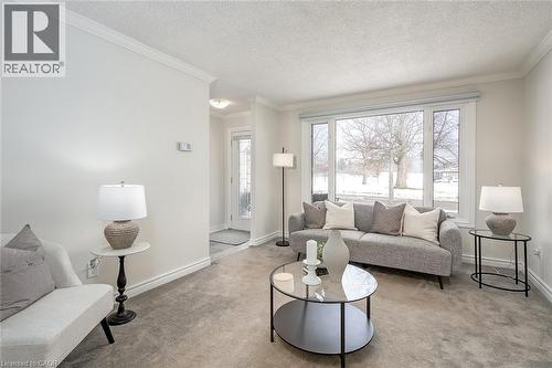 33 Gemini Drive, Hamilton, ON - Indoor Photo Showing Living Room