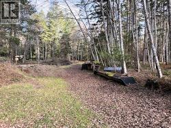 Lot B BLAIR ROAD  Texada Island, BC V0N 3K0