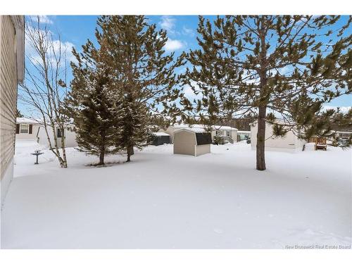 50 Andre Dr, Dieppe, NB 