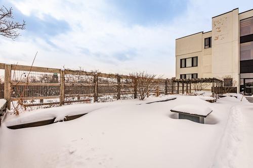 Patio - 320-3810 Rue St-Antoine O., Montréal (Le Sud-Ouest), QC - Outdoor