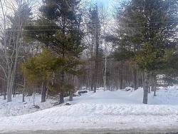 Lot B Meadowvale Road  East Tremont, NS B0P 1R0