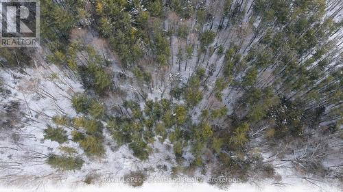 77928 Porters Hill Line, Central Huron (Goderich), ON 