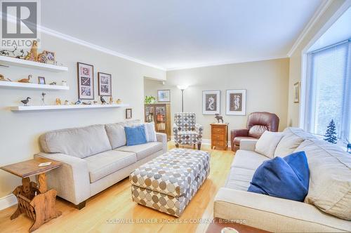 Spacious living room perfect for hosting. - 118 Robinson Avenue, Ottawa, ON - Indoor Photo Showing Living Room