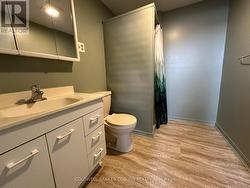 Lower level bathroom with shower. - 