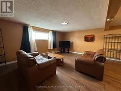 Lower level living room. - 