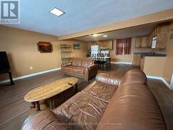 Lower level living room. - 