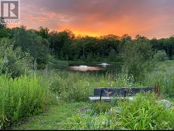 Spectacular Sunsets. - 