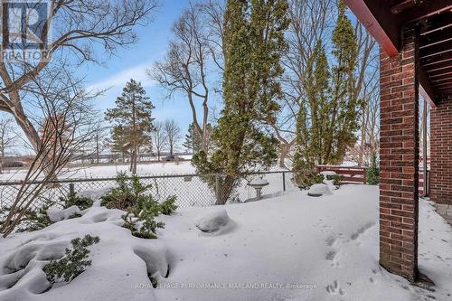 31 Aylen Avenue, Ottawa, ON - Outdoor