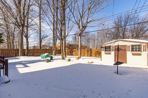 Cour - 124 Rue Stéphanie, Dollard-Des-Ormeaux, QC - Outdoor