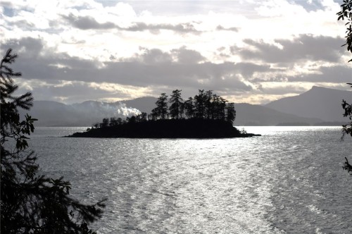 171 Mcgill Rd, Salt Spring, BC 