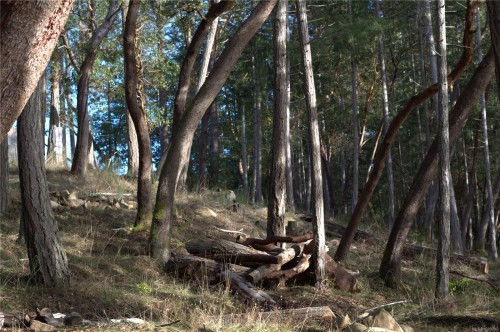 171 Mcgill Rd, Salt Spring, BC 