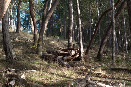 171 Mcgill Rd, Salt Spring, BC 