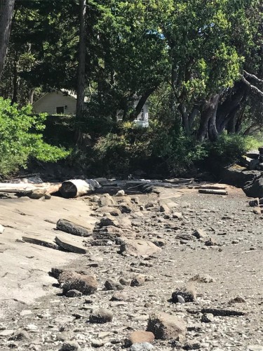 171 Mcgill Rd, Salt Spring, BC 