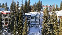 725 Monashee Road  None, BC V1B 0S5