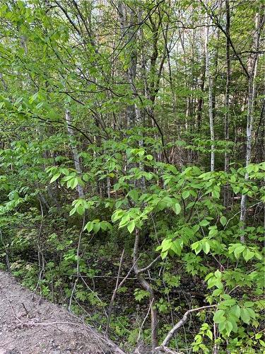 - David Rd, Galloway, NB 