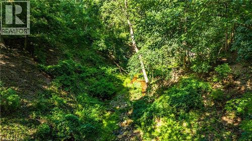 3 Oakwood Place, Hamilton, ON - Outdoor