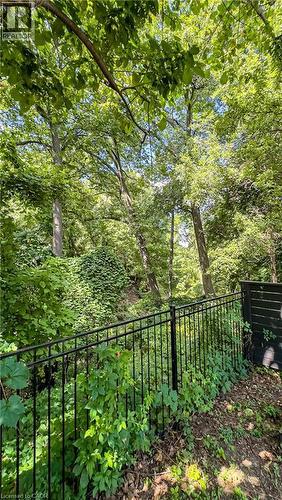 3 Oakwood Place, Hamilton, ON - Outdoor