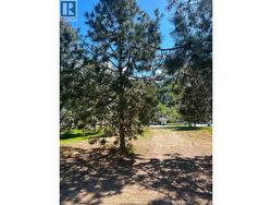 McPhee Road Lot# 2 Castlegar, BC V1N 4L8