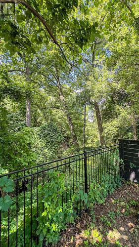 3 Oakwood Place, Hamilton, ON - Outdoor