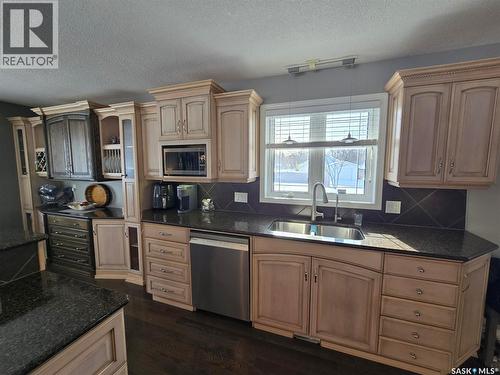 503 Edmonton Street, Broadview, SK - Indoor Photo Showing Kitchen With Double Sink