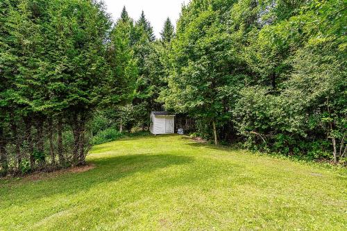 Backyard - 121 Route 216, Stoke, QC - Outdoor