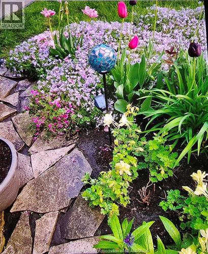 1276 Argyle, Windsor, ON - Outdoor