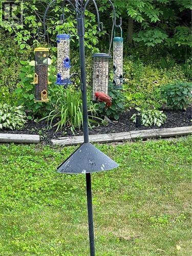 70 Berkley Crescent, Simcoe, ON - Outdoor