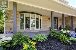 Low maintenance perennial beds - 