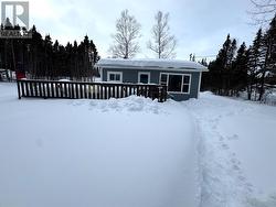 74 Crooked Lake Road Badger, NL None