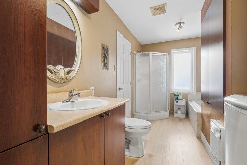 Salle de bains - 1615 Ch. Bellevue, Carignan, QC 