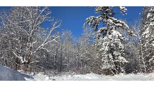 99 304Th Avenue, Kimberley, BC - Outdoor