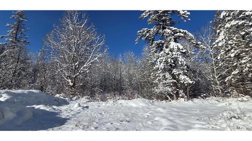 99 304Th Avenue, Kimberley, BC - Outdoor With View
