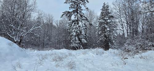 99 304Th Avenue, Kimberley, BC - Outdoor