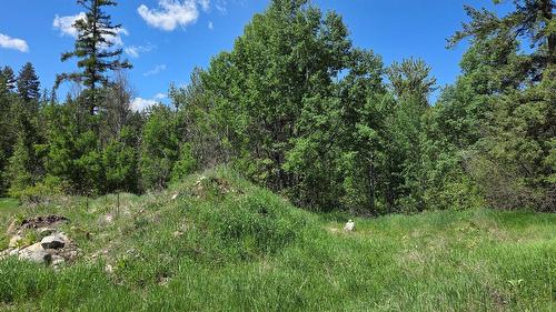 101 304Th Avenue, Kimberley, BC - Outdoor With View