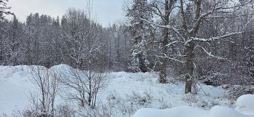 101 304Th Avenue, Kimberley, BC - Outdoor