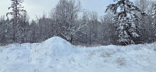 101 304Th Avenue, Kimberley, BC - Outdoor