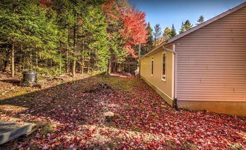 Cour - 2070 Rue Wilfrid, Val-David, QC - Outdoor